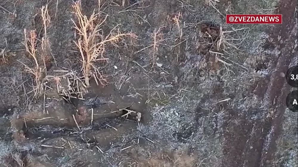 "�������� ����� ���� "�������" ����� �� �����