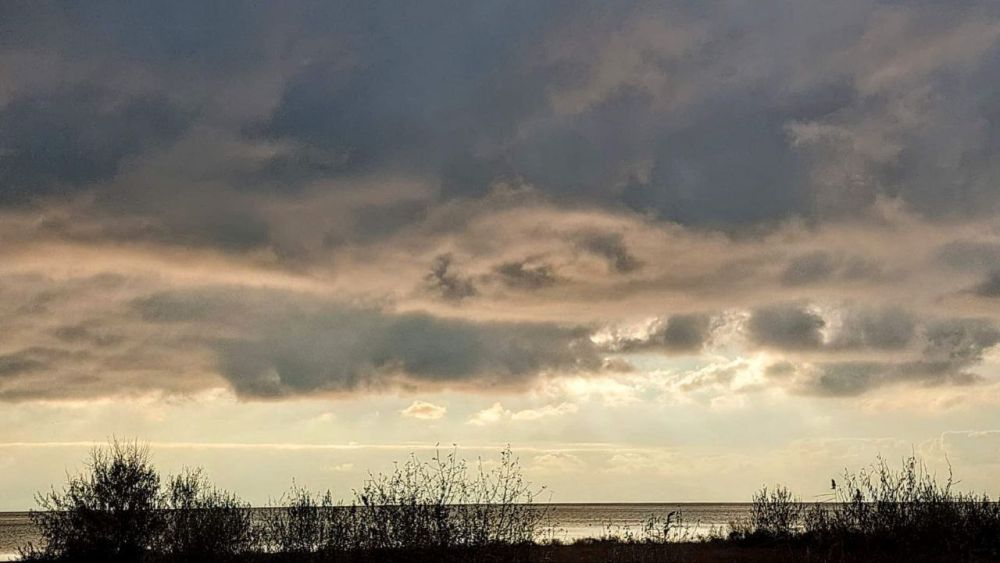 � ������ ������������ �������� �����, ��������� �������� ����������, ��������� �� ���������� ���������