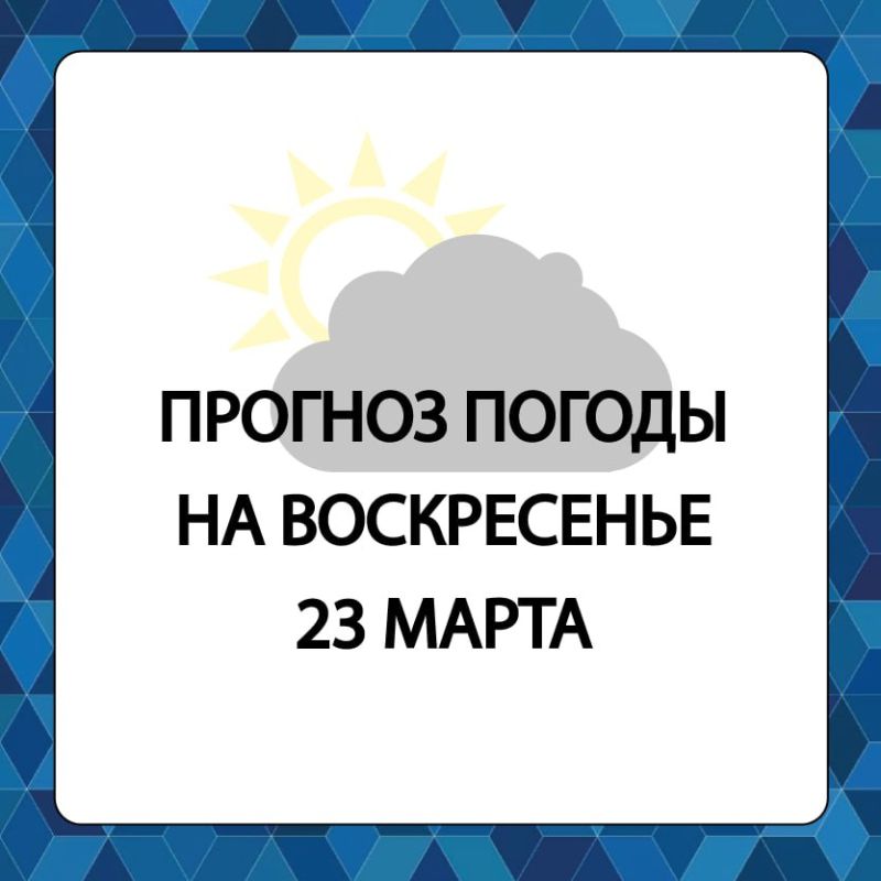 ������� ������ � ����������� ������������� ������ �� �����������, 23 �����