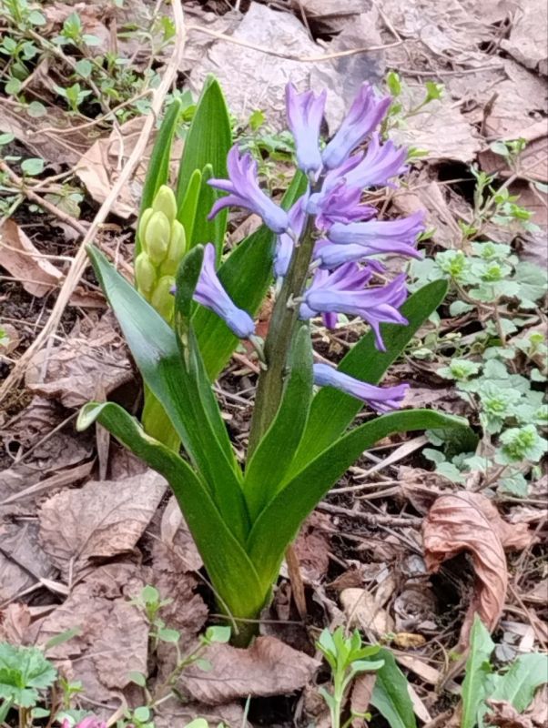 ���� ������� ����, �������� �����������! �������� ������������