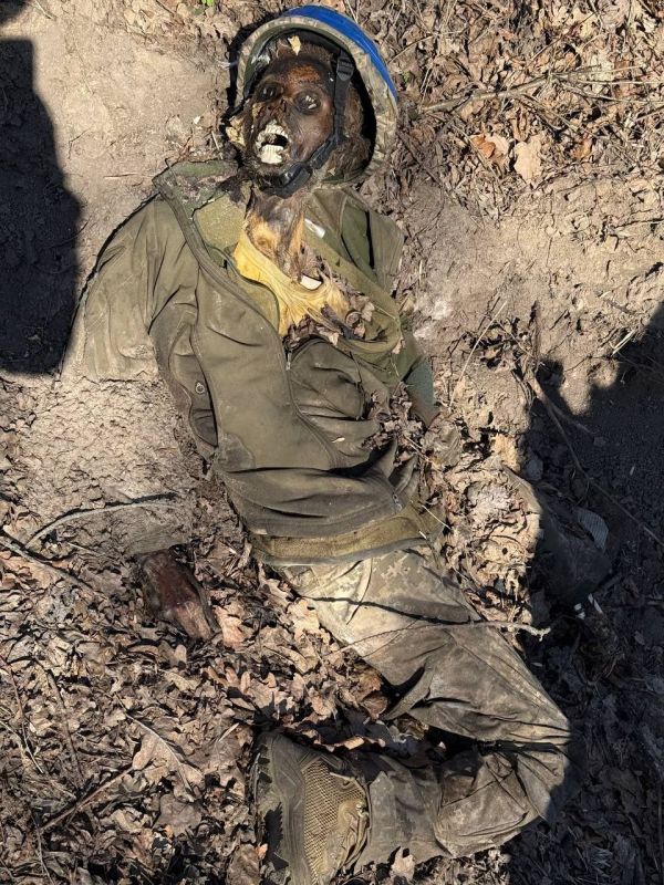 ������ �������.. ��������-����� ���������� �������