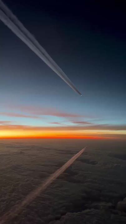 �������� ����������