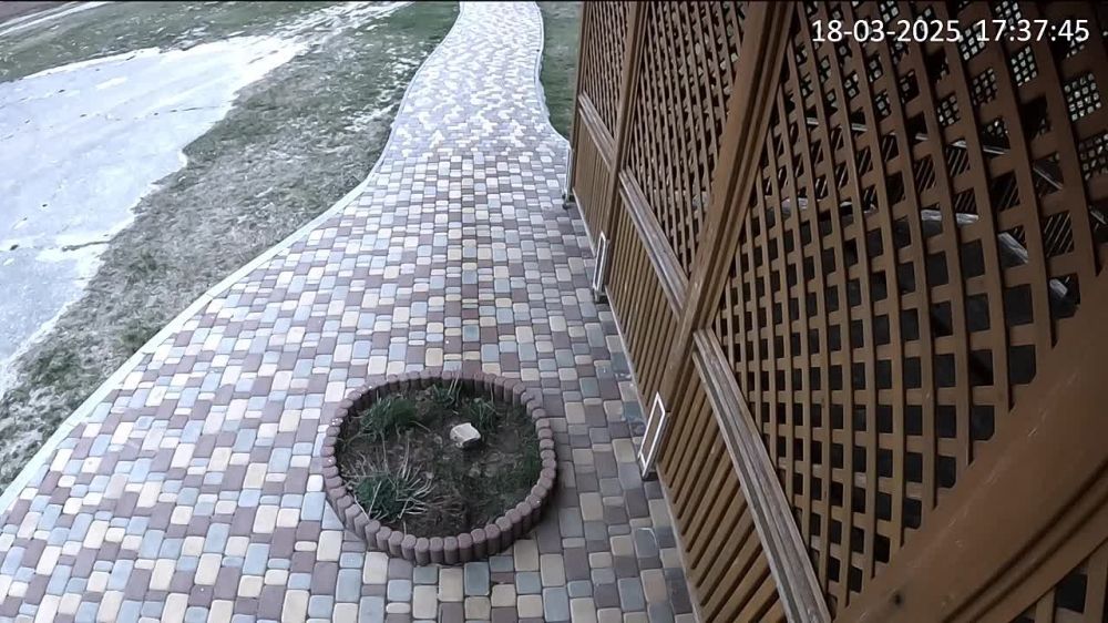 � ����� "���������������" ������ ���� ��� ���������