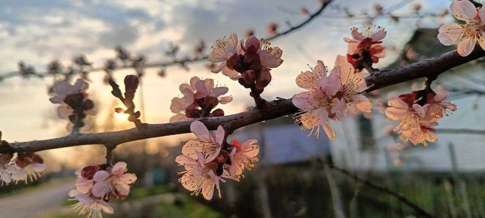 ��� ��� �����, ��������� ����� ����������� ������� � ������� ������?