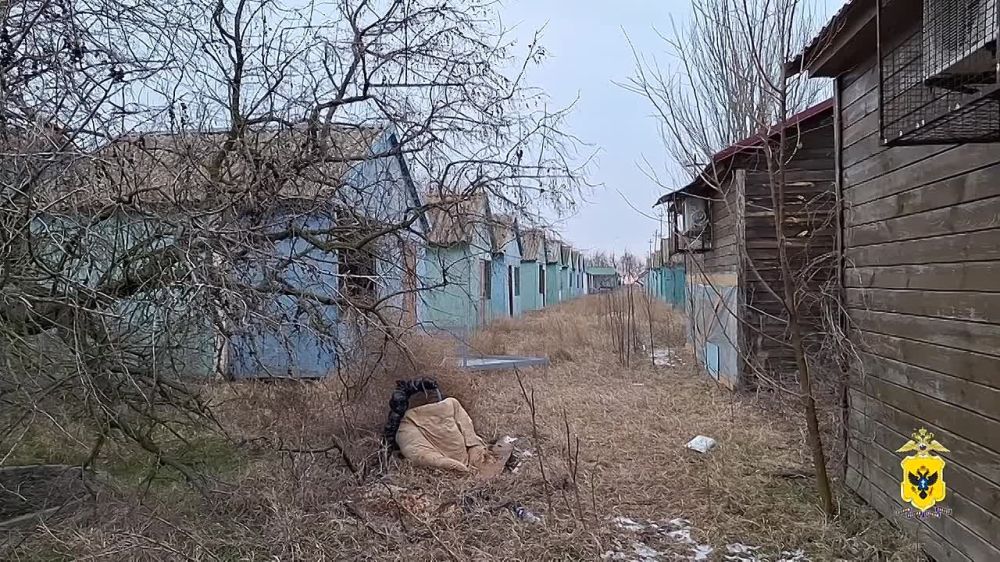 � ���������� ������� ����������� ������� 82 ����������, ���������� ����� ���������� � ������