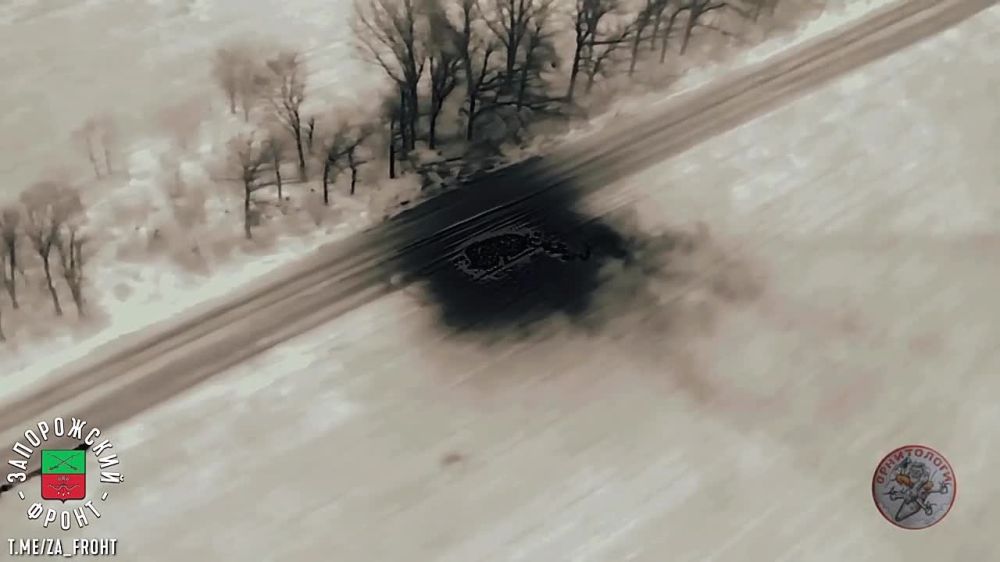 ���� �� �������: ��������� ���� "����������" � "�����" ��� ��������� � ��������� ����� ��������� � ������ ������� �� ����������� �����������