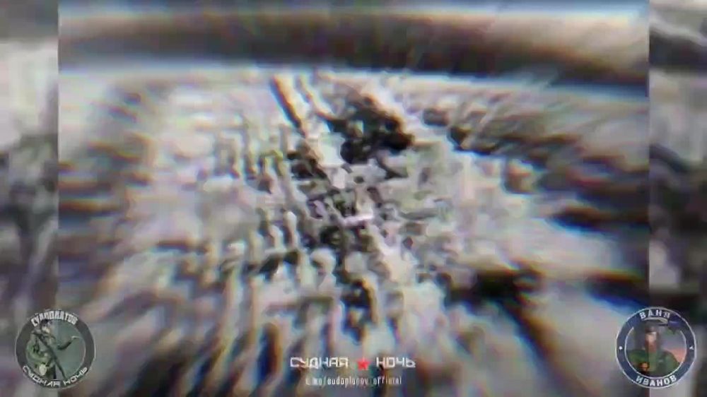 ���������� �����������.. �������� ������ ���� �������