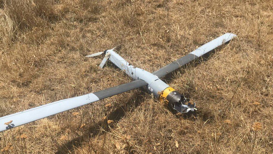 ����� 30 ���������� ������������� ����� �� ���� ��� �������