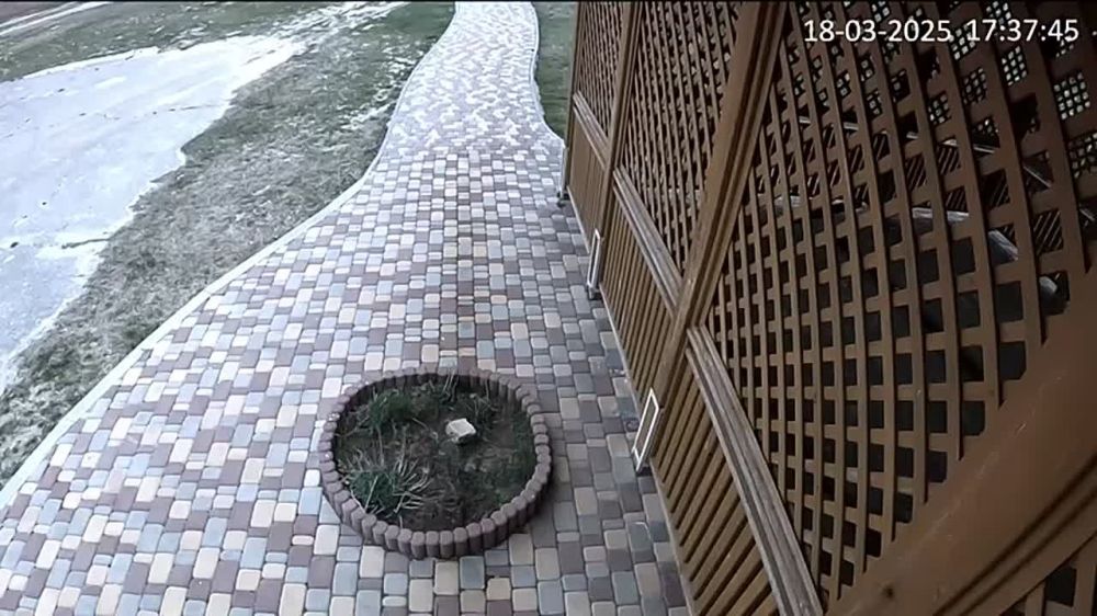 ���� �� �������: ����� ������ ��� � ��� ������ ���� ������ ������������ ������