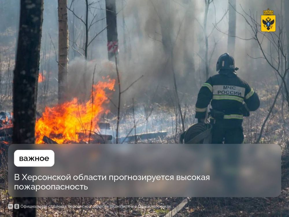 � ���������� ������� �������������� ������� ���������������