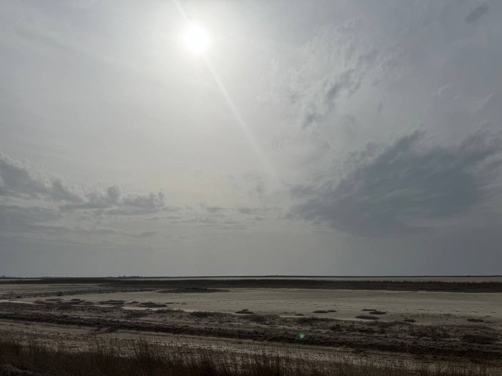 ���������� ������� ����� ������� ������ � ��������� ������