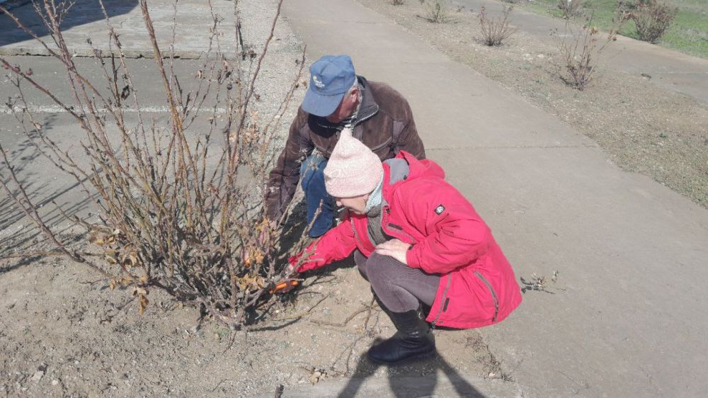 ����� ������ � ���� �������� �������!