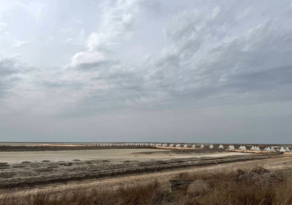 ���������� ���������� ������� ����� ������� ������ � ��������� ������