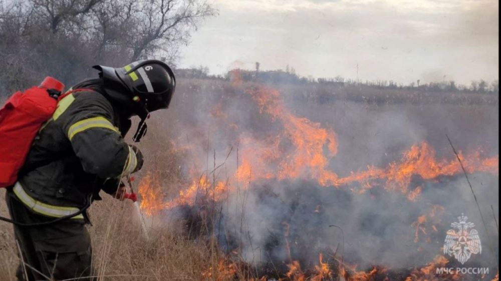 � ���������� ������� � ������ 2025 ���� ��������� ��� ������������� 66 ����������� �������