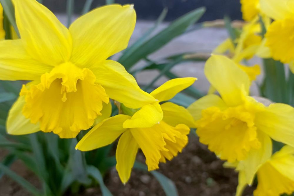 � ������� ���������� �����!