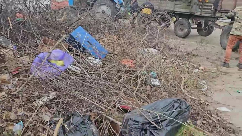 Чисто не там, где убирают, а там, где не мусорят