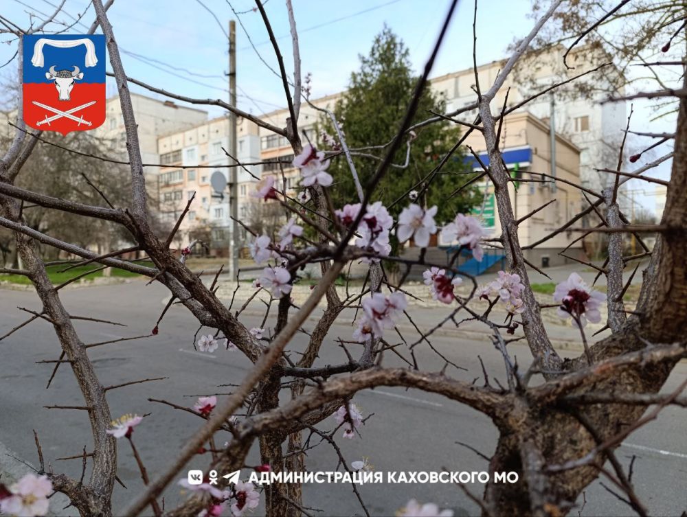 ������ ����, ������ ���������� �������������� ������!