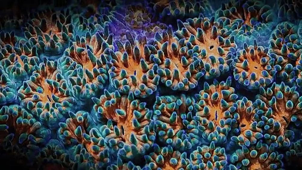 ��� ���?