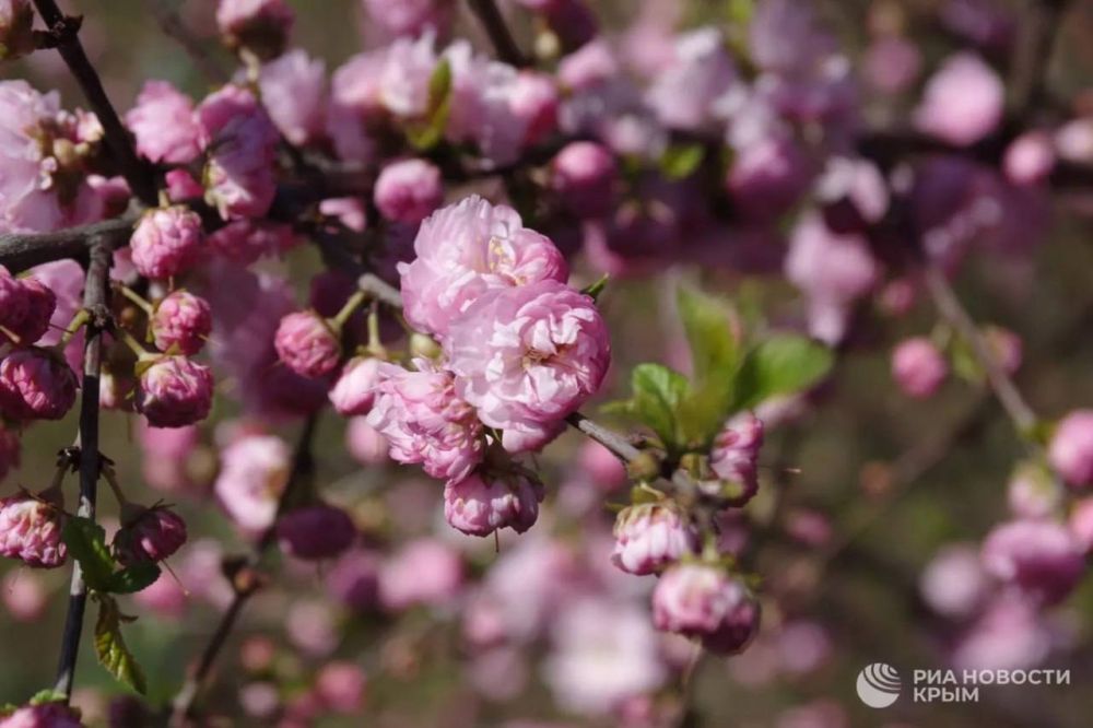 ������ �� ����� ����������� ������