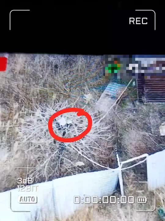 ���� �� �������: ���������� �����.. ��������� ����������� ����� "�����" �� ������� 18 �� �������� ����� ���������� ���� ���