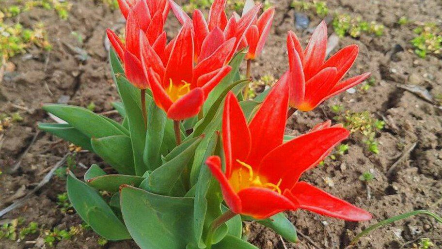 ����� ���� � ����� ������! � ����������� ��������-���� ��������� ������ ��������