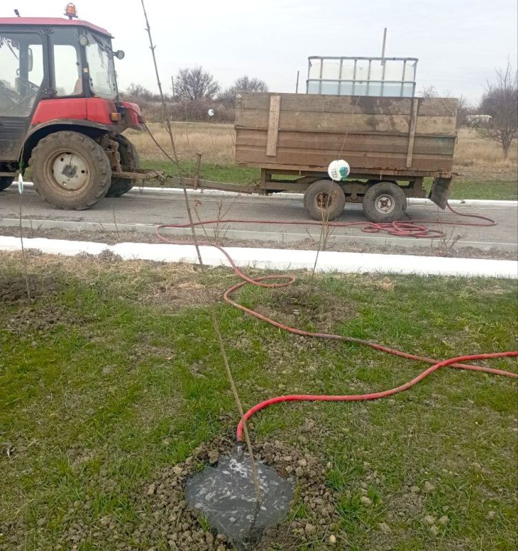 ��� ������������: ��������������� ���������� � ����������