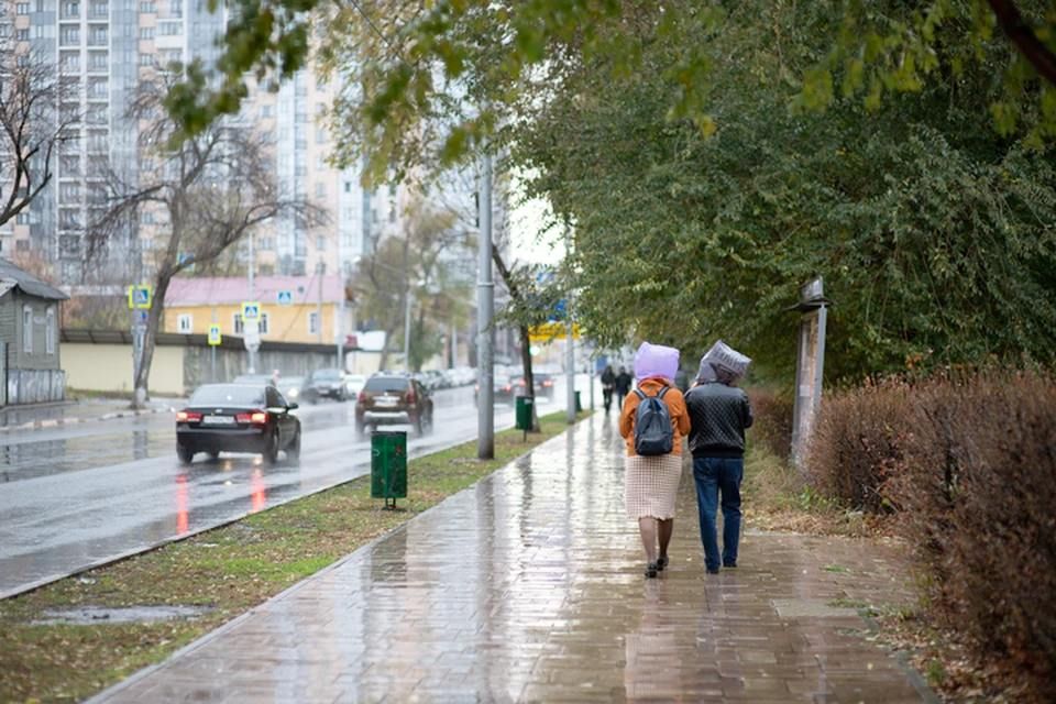 ���������� ������� 25 ����� ������� �����