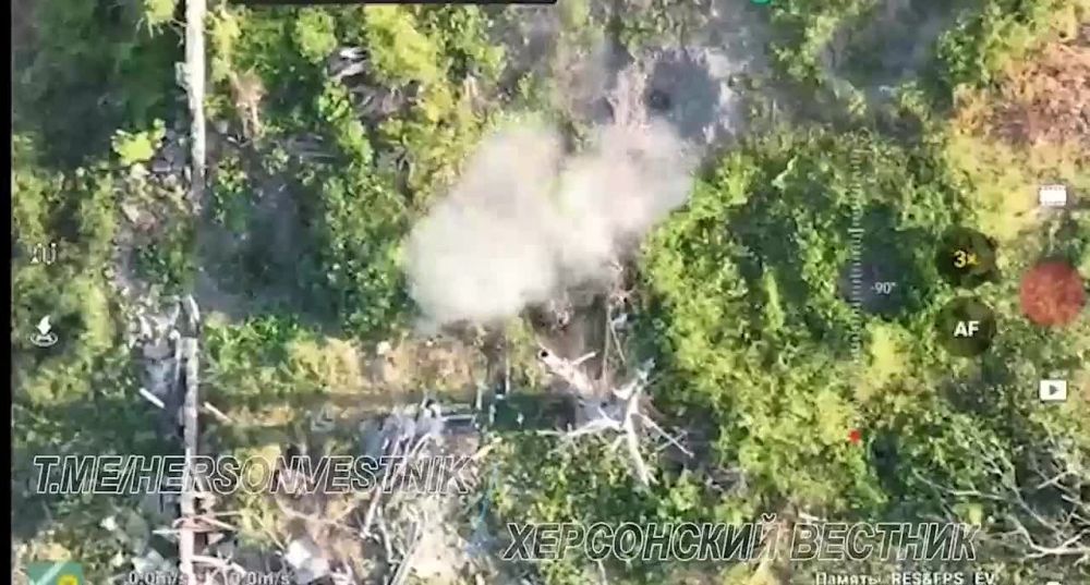 Подпишись на канал "Херсонский Вестник"