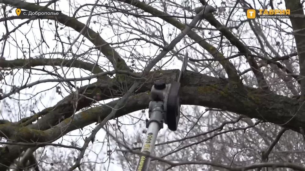 ���������� ����������� ��� �������� � ������� ������� �� ������� ������ ���������� � ����������