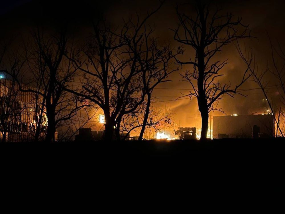 ���� ����: �� �� ����� ������� ����� �� ���� �������� �������