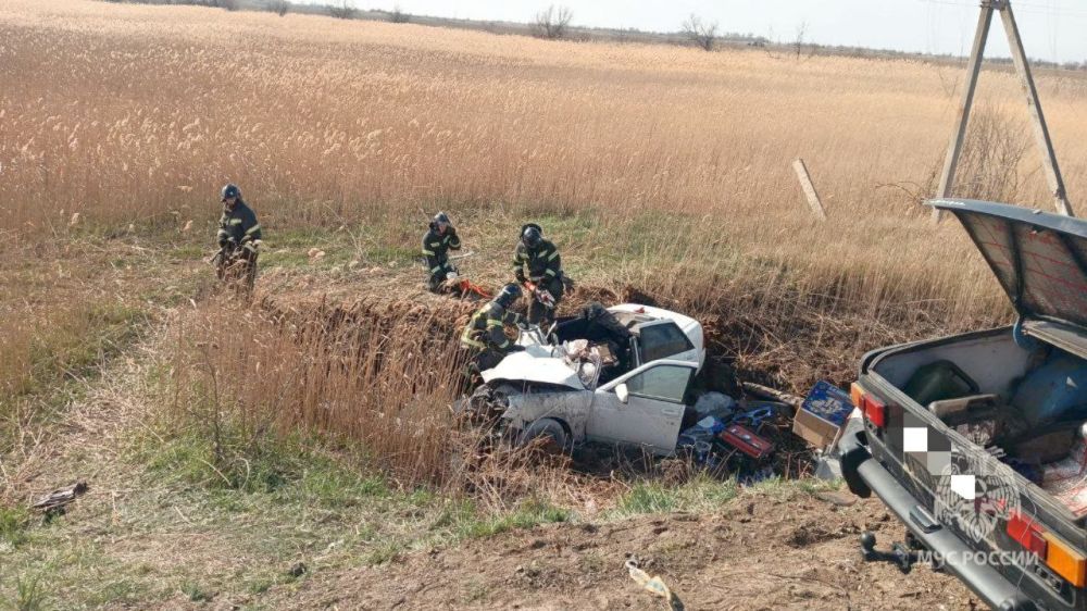 � ���������� ������ ��������� ������������� �� ���� ���� ������������