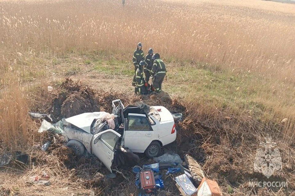 � ���������� ������� �������� ��������� ������������ � ������ ������