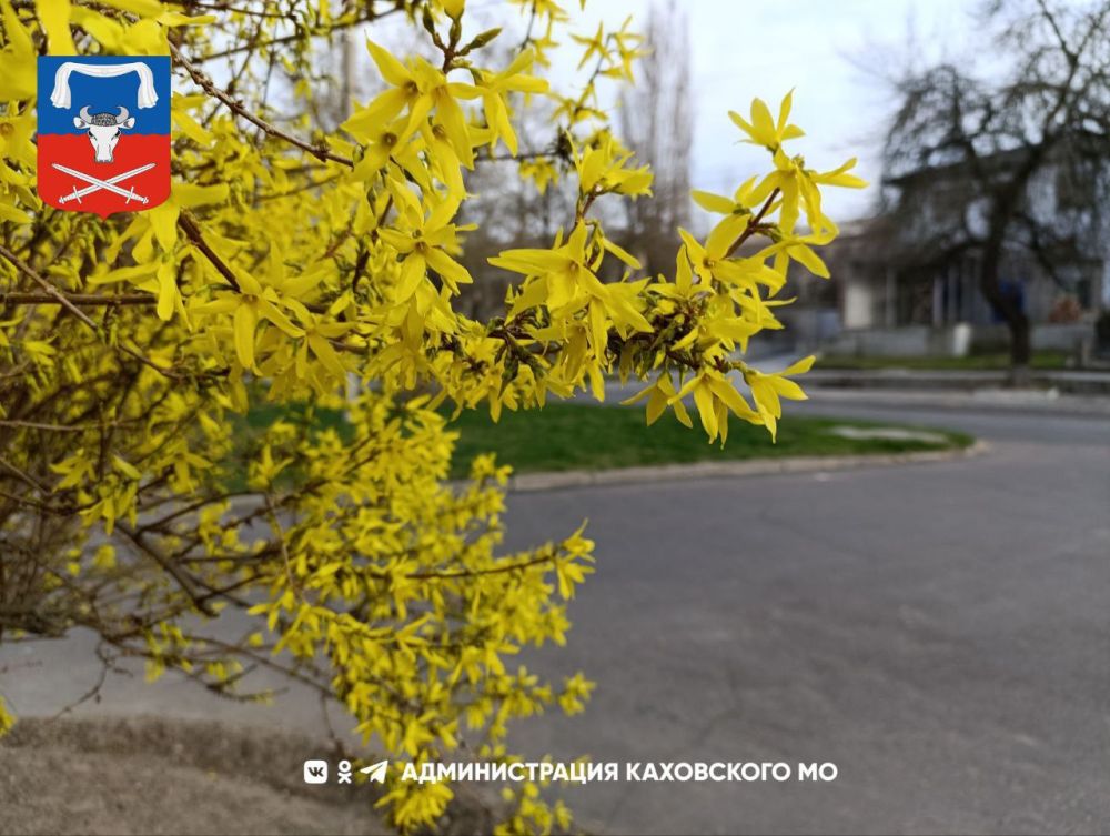 ������ ����, ������ ���������� �������������� ������!