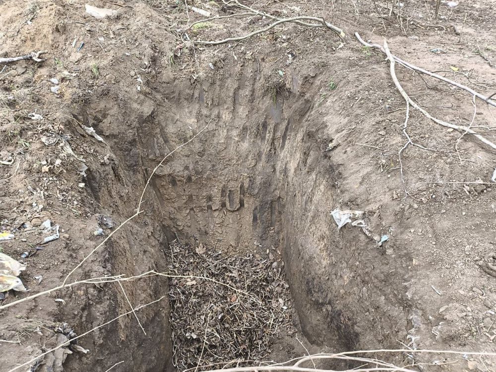 � ����������� ����� ��� ��������� ������������� ������,������������ ������,��������� � ���������� ����� ���� ������ ������ ������