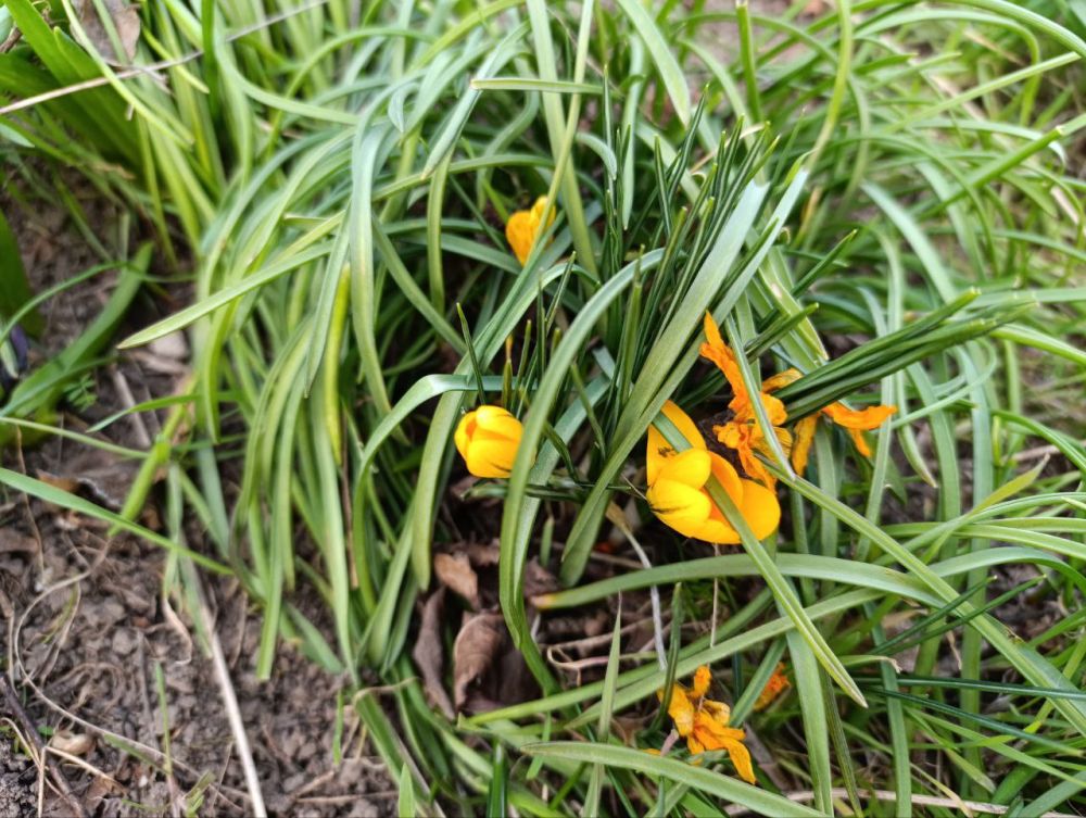 �������� ������ ����� ��� �����!