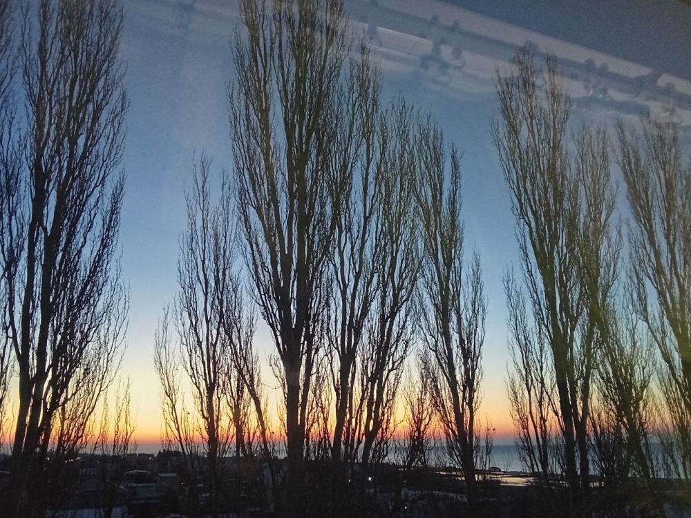 � ������ ������������ �������� �����, ��������� �������� ����������, ��������� � ���������