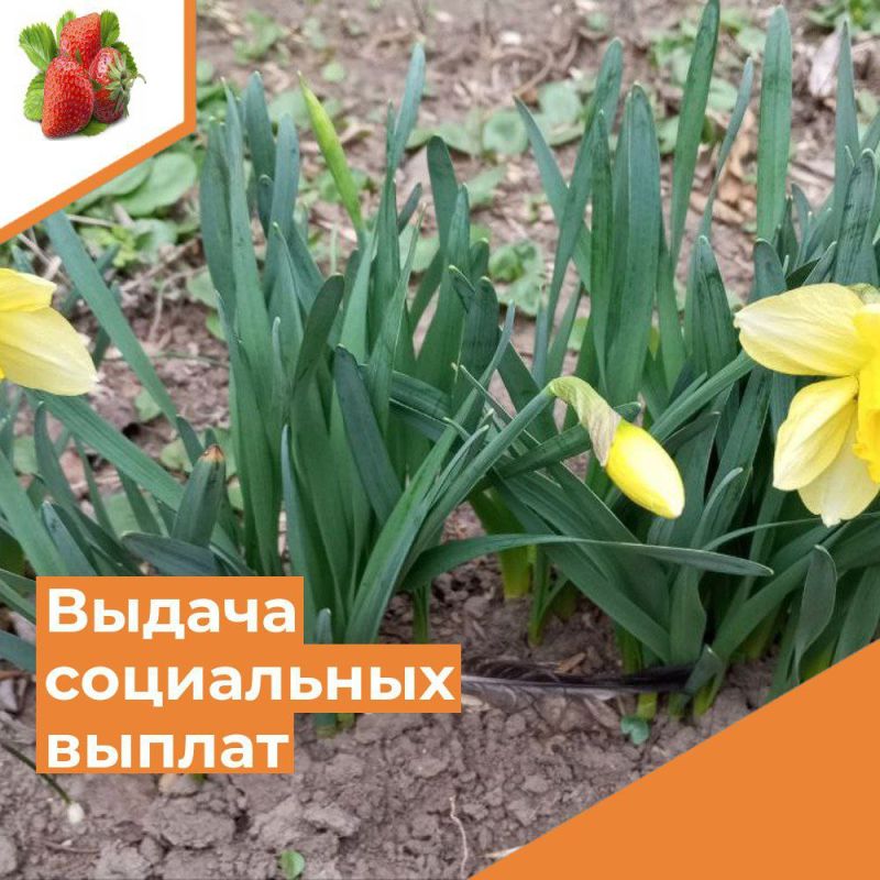 ��������� ������ �����������!