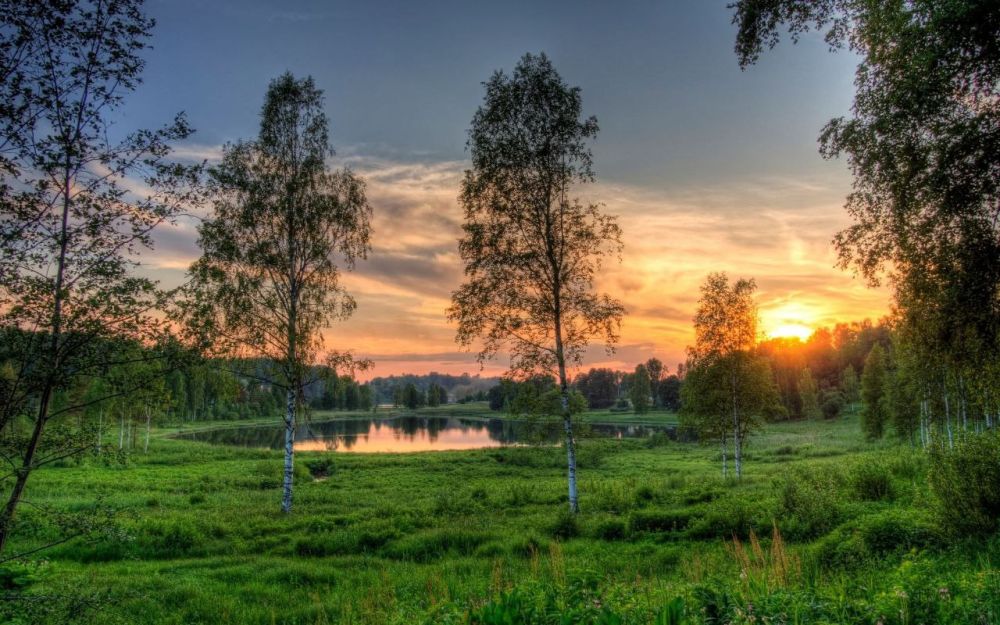 . � ����� ����