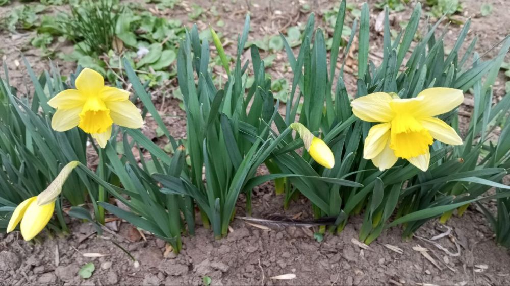 � ������ �����, �����������!