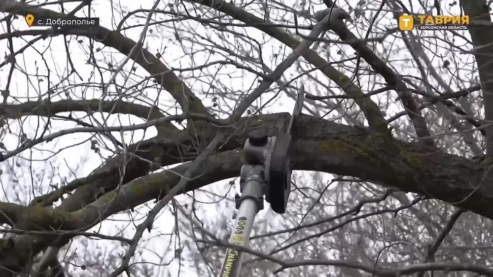 � ���������� ������ ������������ ������ �� ��������������� ������ ������������� �����