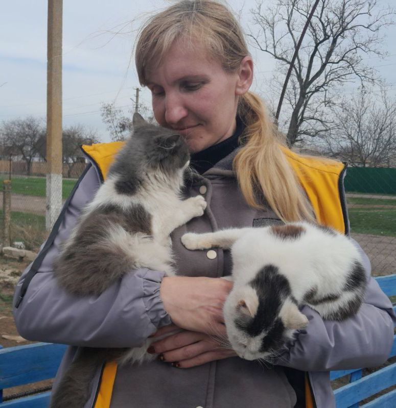 ���� ���������� �����, 27 ����� � ��������� ���� ��� ���� ��������� �����, �������� ����������, ������� � ���������� ����������� ��������, ������� ������ ��� ��� ������