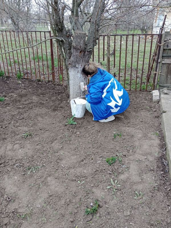 � ���������� 80-����� ������ � ������� ������������� ����� ����������� ��������� ���������� ��������� ������ ������� �������, ����� ������, ��������� ��������� � ������������ ���������������� ������ � ���� �������� �������...