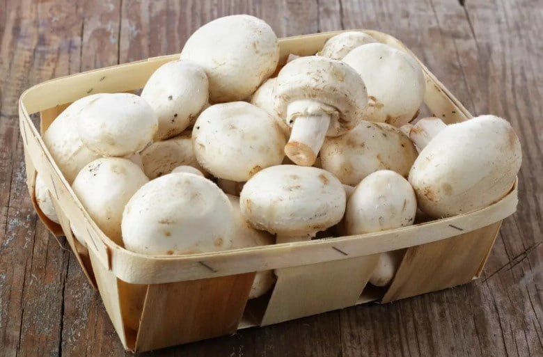 ����� � ����� ����� ���� � ����������!