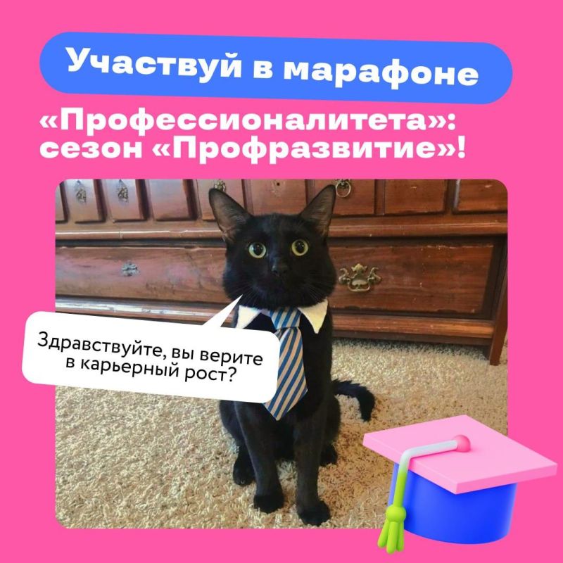 ���� ����� ������ ������������!