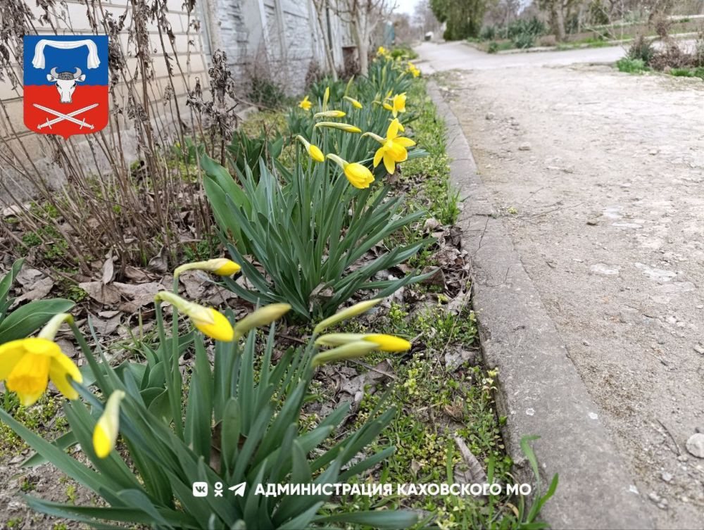 ������ ����, ������ ���������� �������������� ������!