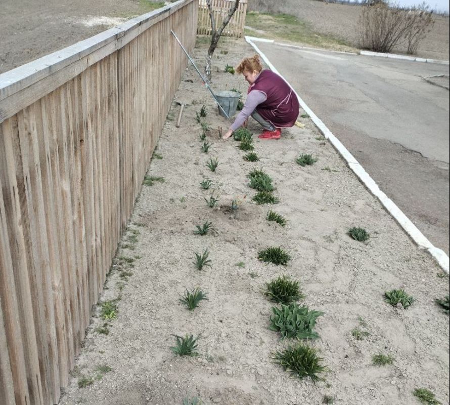 ������� ������ � ������������ �������� ���������