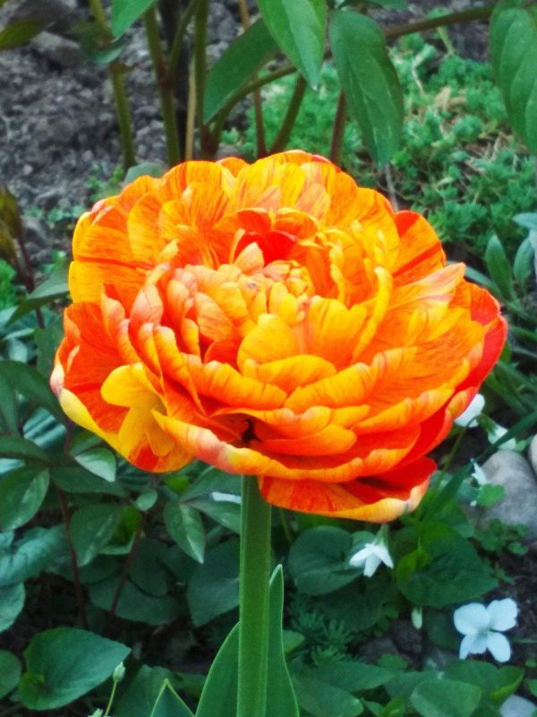 ���� �������� ������������� �������� ��������, ��������� � ������ ������� ����� �����!