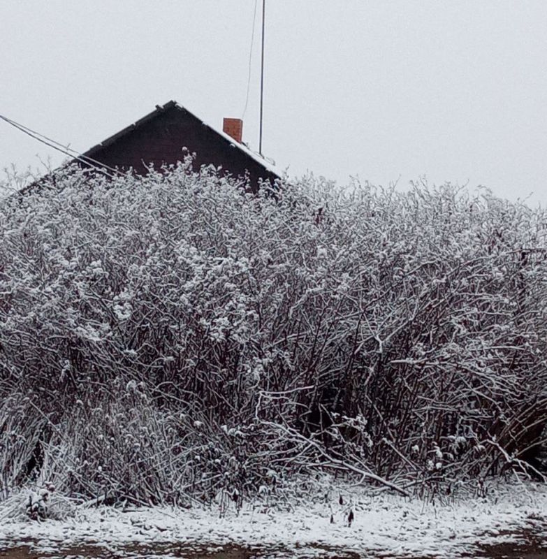 � ������ ������������ �������� �����, ��������� ������, ��������� � ���� ������ ����������� �������������� ������