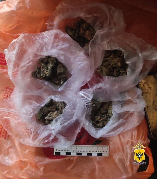 ����������� ������ � 36-������� ������ ���������� ������ ������ ���������