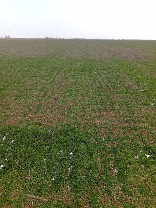 ����������� ���������������� ����������� 50 ����� �������� ����� ���������� ������� �� ������� �������� � ����������